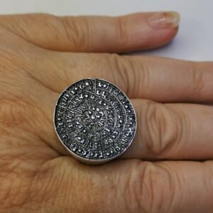 Anello disco di Festo