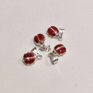 Coccinella portafortuna