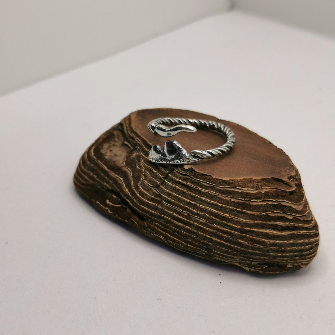 Anello Vesuvio - immagine 2