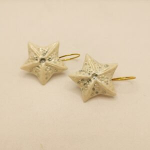 Ceramic -  Starfish